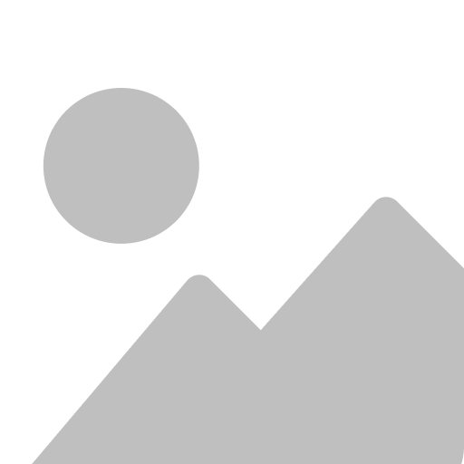 WordPress Developer